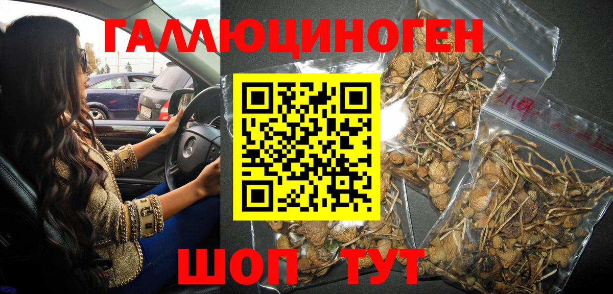 Кемерово  Псилоцибиновые грибы мухоморы  Вход с VPN 