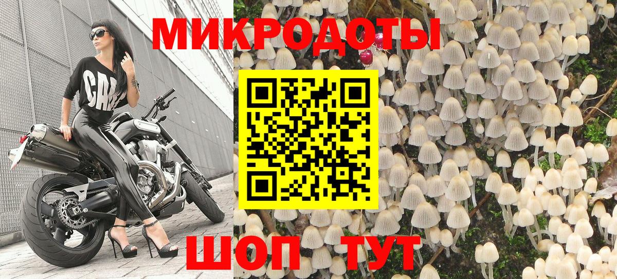 Псилоцибиновые грибы прущие грибы Кемерово